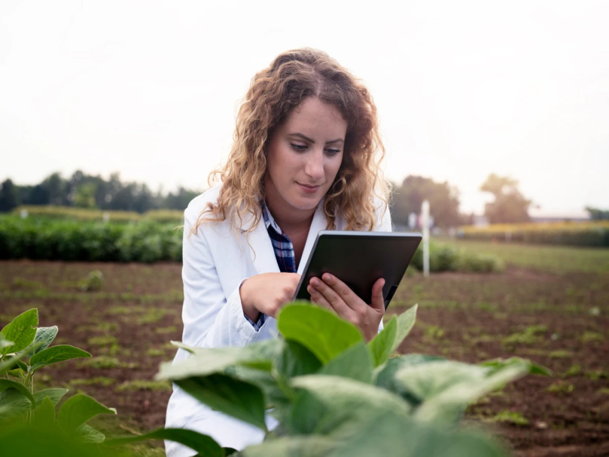 Curso de Agronegócio 4.0: Gestão, Dados e Tecnologia no Campo