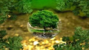 Curso de Gestão e Governança Corporativa Direcionada as Práticas de ESG