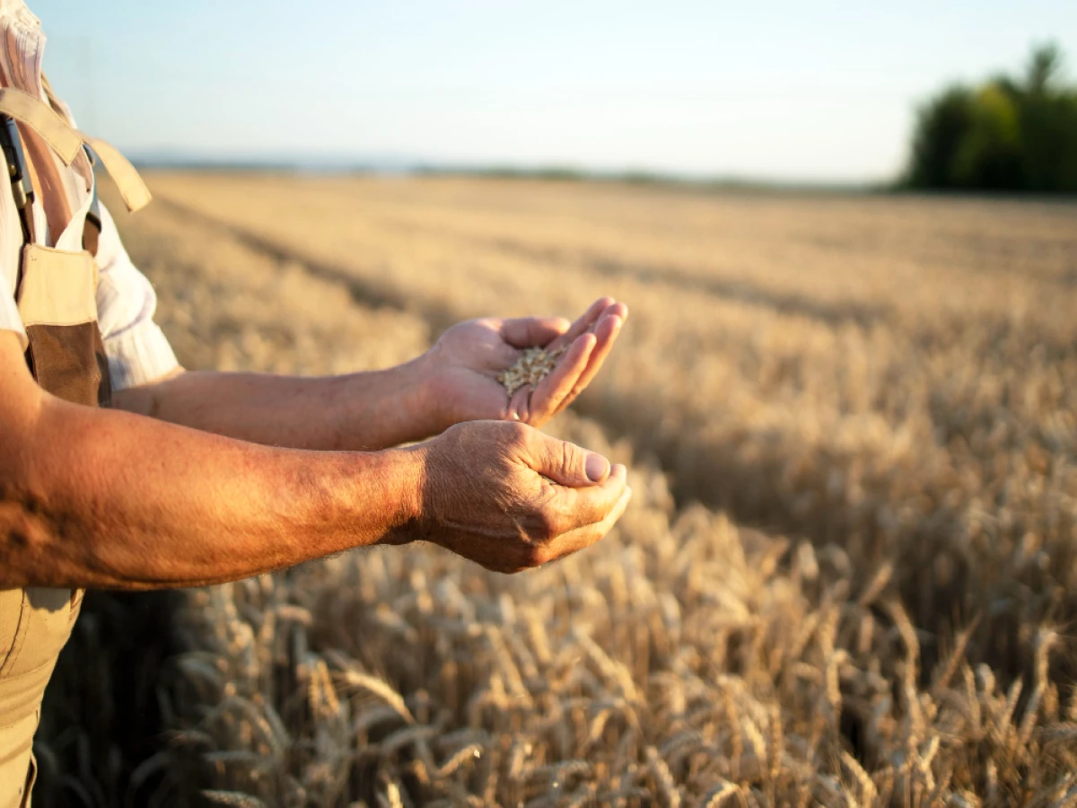Curso de Gestão Estratégica do Agronegócio