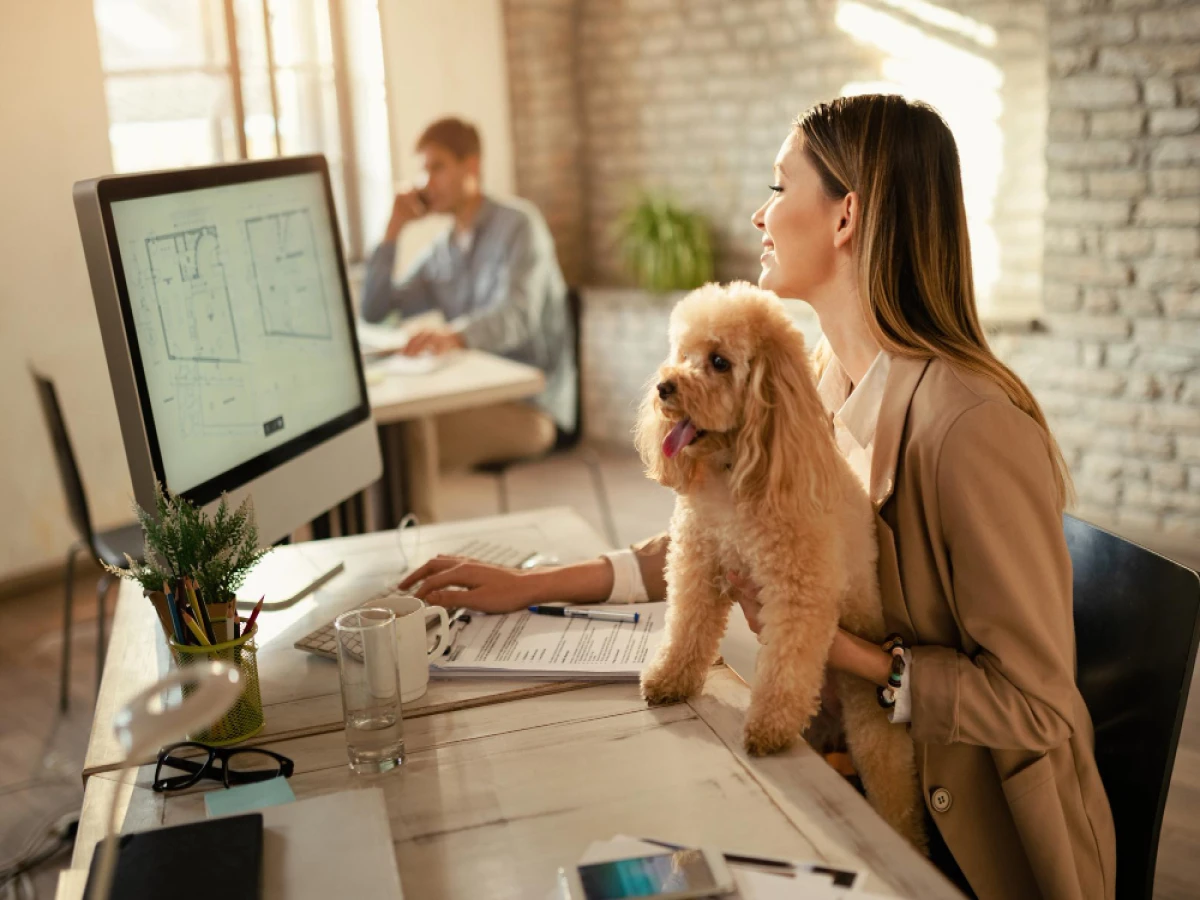 Curso de MBA em Gestão Estratégica de Negócios Pet