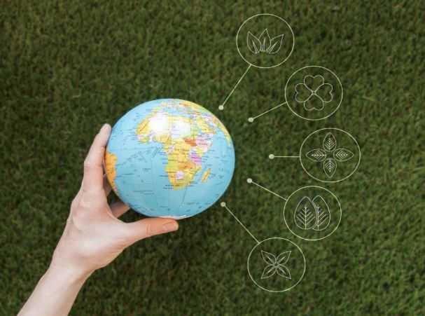 Curso de IFRS S1 e S2: Normas Globais em Sustentabilidade