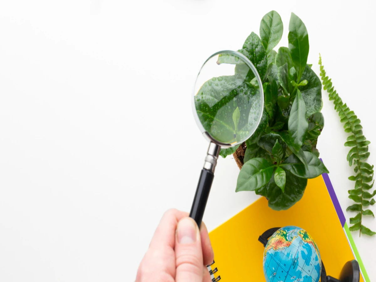 Curso de Auditoria e Perícia Ambiental